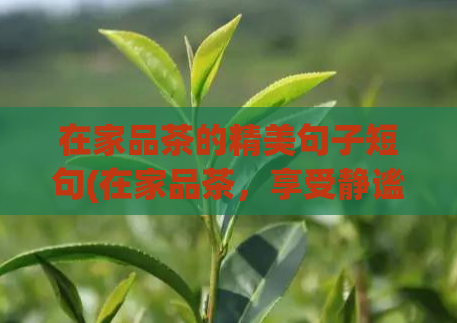 在家品茶的精美句子短句(在家品茶，享受静谧时光)  第1张