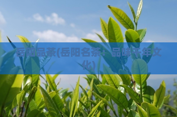 岳阳品茶(岳阳名茶：品味千年文化)  第1张
