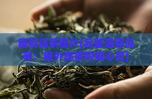 窗前品茶图片(品鉴温香品茶：窗外美景照耀心灵)  第1张