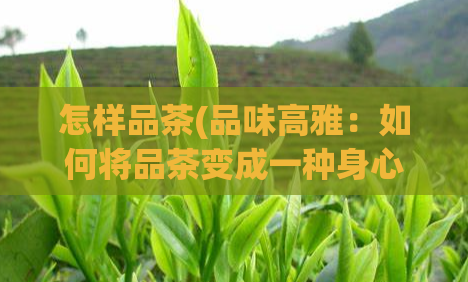 怎样品茶(品味高雅：如何将品茶变成一种身心愉悦的享受？)  第1张