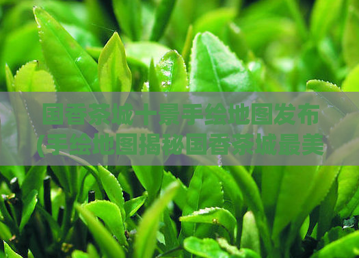 国香茶城十景手绘地图发布(手绘地图揭秘国香茶城最美的十大景点)  第1张