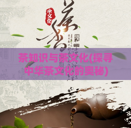 茶知识与茶文化(探寻中华茶文化的奥秘)  第1张