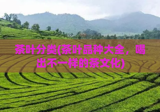 茶叶分类(茶叶品种大全，喝出不一样的茶文化)  第1张