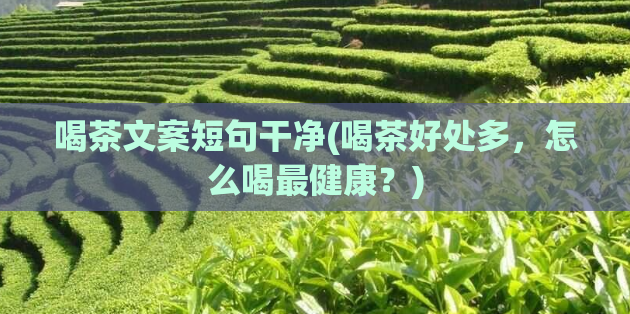 喝茶文案短句干净(喝茶好处多，怎么喝最健康？)  第1张