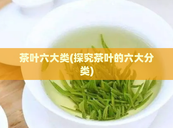 茶叶六大类(探究茶叶的六大分类)  第1张