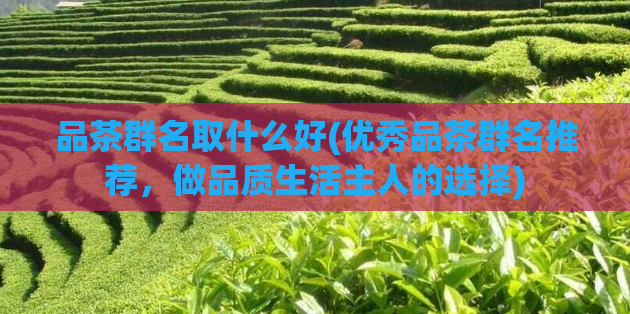 品茶群名取什么好(优秀品茶群名推荐，做品质生活主人的选择)  第1张