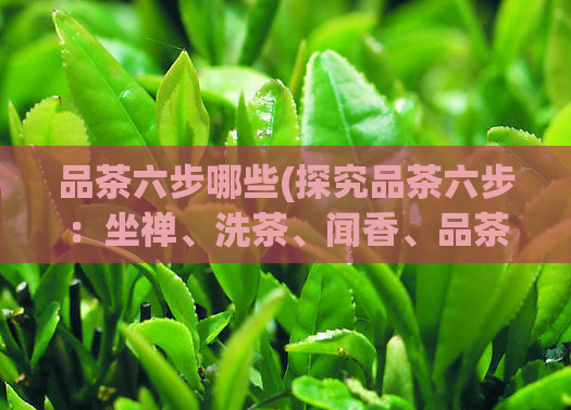 品茶六步哪些(探究品茶六步：坐禅、洗茶、闻香、品茶、说茶、回甘)  第1张
