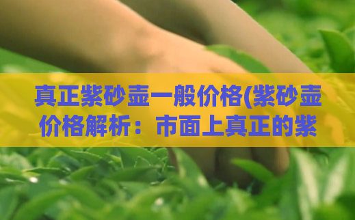 真正紫砂壶一般价格(紫砂壶价格解析：市面上真正的紫砂壶价格到底是多少？)  第1张