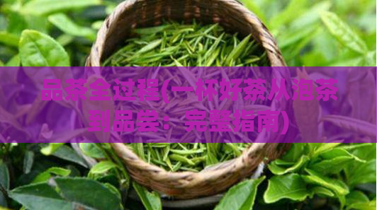 品茶全过程(一杯好茶从泡茶到品尝：完整指南)  第1张