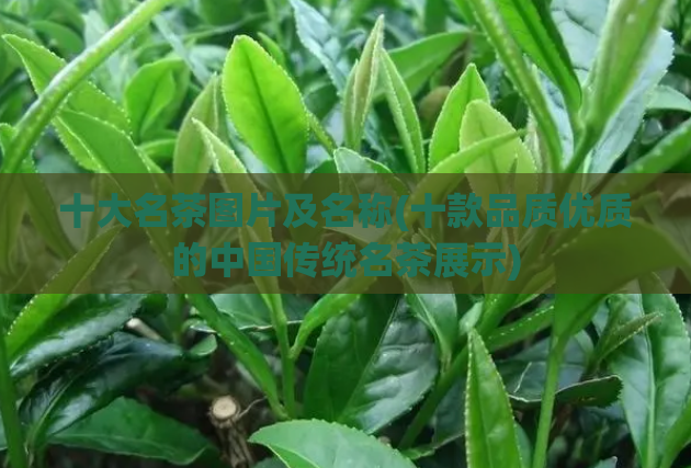 十大名茶图片及名称(十款品质优质的中国传统名茶展示)  第1张