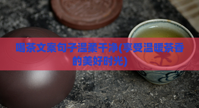 喝茶文案句子温柔干净(享受温暖茶香的美好时光)  第1张