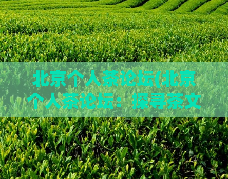 北京个人茶论坛(北京个人茶论坛：探寻茶文化的源头)  第1张