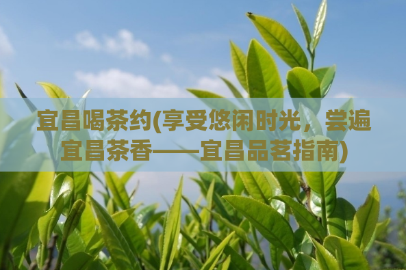 宜昌喝茶约(享受悠闲时光，尝遍宜昌茶香——宜昌品茗指南)  第1张