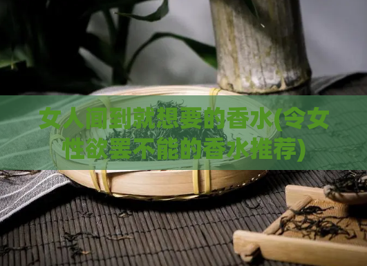 女人闻到就想要的香水(令女性欲罢不能的香水推荐)  第1张