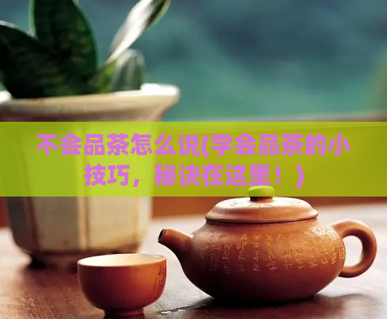 不会品茶怎么说(学会品茶的小技巧，秘诀在这里！)  第1张