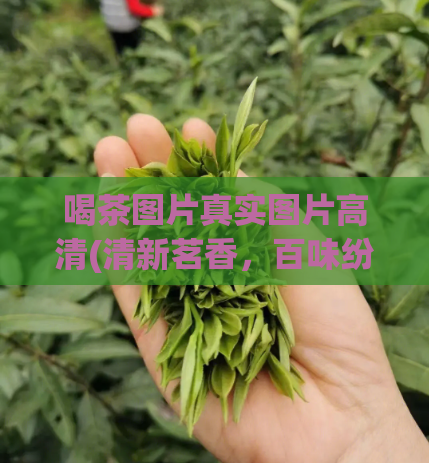 喝茶图片真实图片高清(清新茗香，百味纷呈，这些高清美图让你爱上喝茶)  第1张