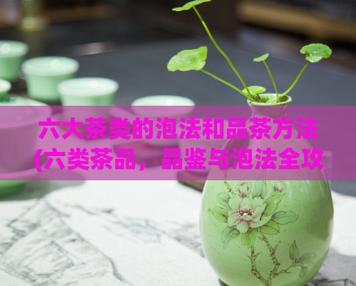 六大茶类的泡法和品茶方法(六类茶品，品鉴与泡法全攻略)  第1张