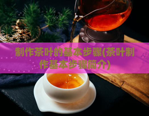 制作茶叶的基本步骤(茶叶制作基本步骤简介)  第1张