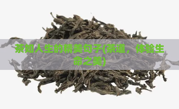 茶如人生的精美句子(茶道，体验生命之美)  第1张