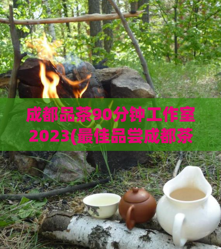 成都品茶90分钟工作室2023(最佳品尝成都茶文化的90分钟工作室，了解更多精彩！)  第1张