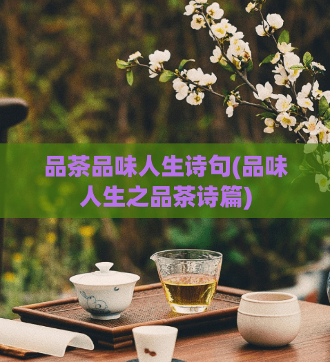 品茶品味人生诗句(品味人生之品茶诗篇)  第1张