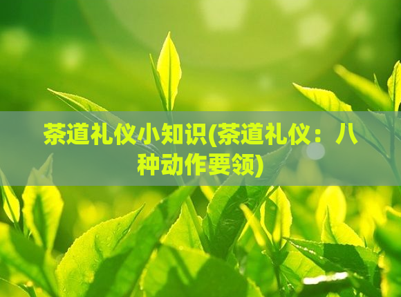 茶道礼仪小知识(茶道礼仪：八种动作要领)  第1张