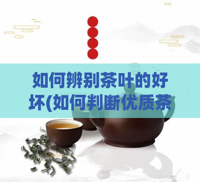 如何辨别茶叶的好坏(如何判断优质茶叶？)  第1张