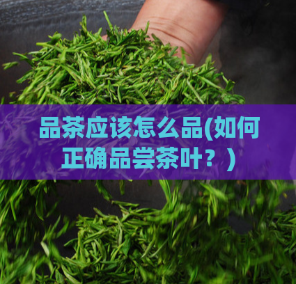品茶应该怎么品(如何正确品尝茶叶？)  第1张