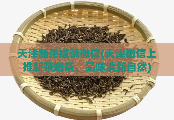 天津新茶嫩茶微信(天津微信上推新茶嫩茶，品味清新自然)  第1张