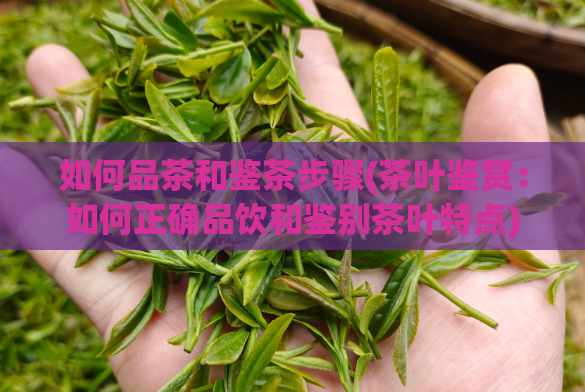 如何品茶和鉴茶步骤(茶叶鉴赏：如何正确品饮和鉴别茶叶特点)  第1张