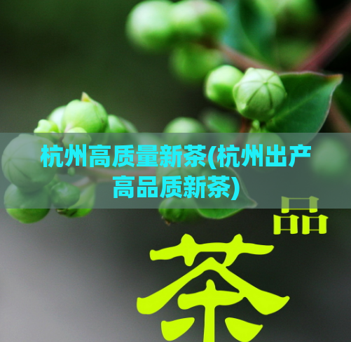 杭州高质量新茶(杭州出产高品质新茶)  第1张
