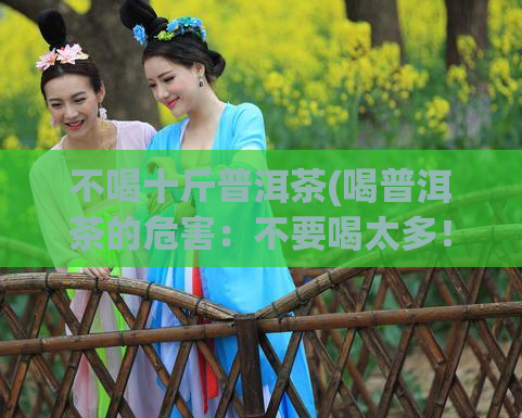 不喝十斤普洱茶(喝普洱茶的危害：不要喝太多！)  第1张