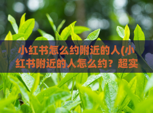 小红书怎么约附近的人(小红书附近的人怎么约？超实用攻略！)  第1张
