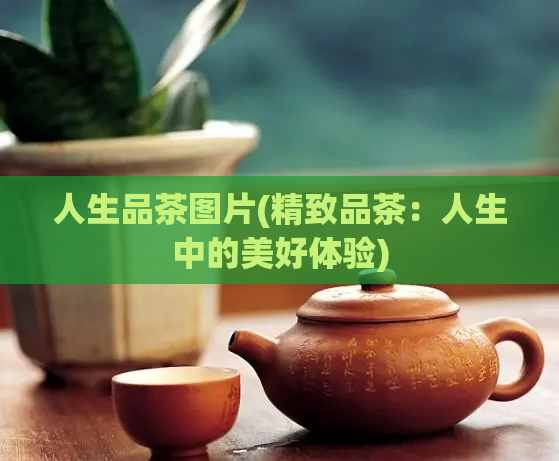 人生品茶图片(精致品茶：人生中的美好体验)  第1张