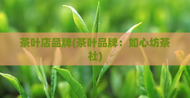 茶叶店品牌(茶叶品牌：如心坊茶社)  第1张