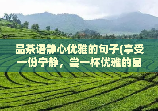 品茶语静心优雅的句子(享受一份宁静，尝一杯优雅的品茶体验)  第1张