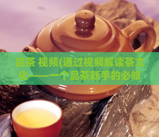 品茶 视频(通过视频解读茶文化——一个品茶新手的必修课)  第1张