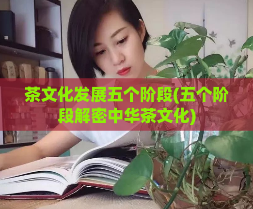 茶文化发展五个阶段(五个阶段解密中华茶文化)  第1张