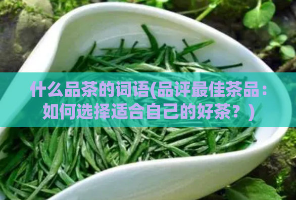 什么品茶的词语(品评最佳茶品：如何选择适合自己的好茶？)  第1张