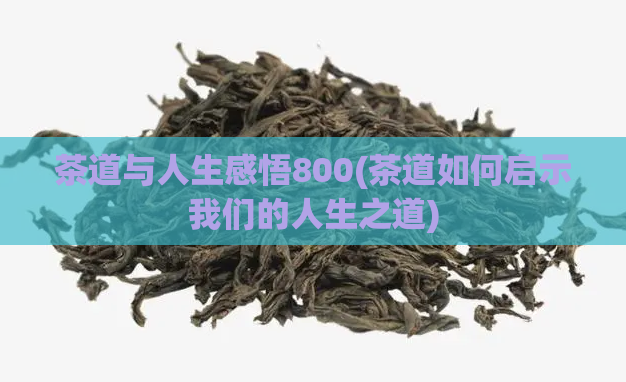 茶道与人生感悟800(茶道如何启示我们的人生之道)  第1张