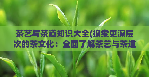 茶艺与茶道知识大全(探索更深层次的茶文化：全面了解茶艺与茶道知识)  第1张