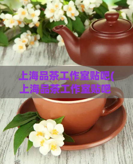 上海品茶工作室贴吧(上海品茶工作室贴吧  让你尽享品质品茗) 第1张