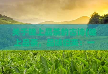 关于晚上品茶的古诗(晚上品茶，品味归来：一首唐诗赏析)  第1张