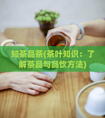 知茶品茶(茶叶知识：了解茶品与品饮方法)  第1张