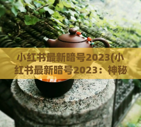 小红书最新暗号2023(小红书最新暗号2023：神秘数字引领文化潮流)  第1张