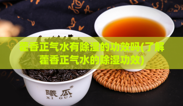 藿香正气水有除湿的功效吗(了解藿香正气水的除湿功效)  第1张
