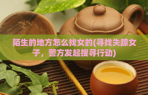 陌生的地方怎么找女的(寻找失踪女子，警方发起搜寻行动)  第1张