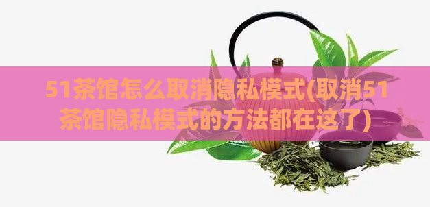 51茶馆怎么取消隐私模式(取消51茶馆隐私模式的方法都在这了)  第1张