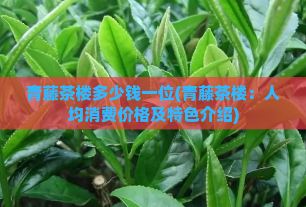 青藤茶楼多少钱一位(青藤茶楼：人均消费价格及特色介绍)  第1张