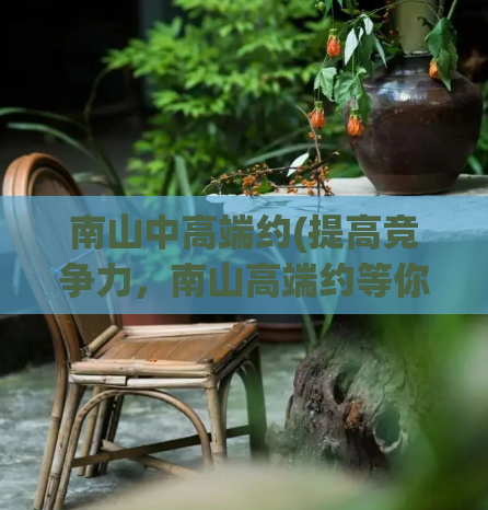 南山中高端约(提高竞争力，南山高端约等你来)  第1张